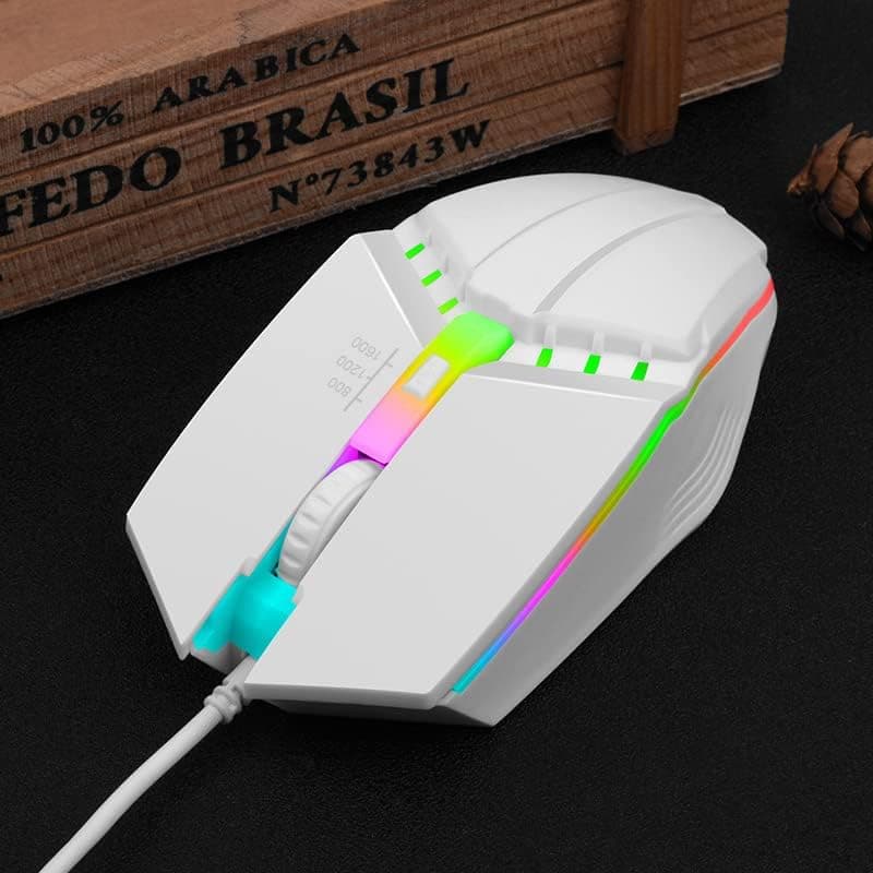 Wired Gaming Mouse , Optical USB Mice for Laptop/Desktop, 800 to 1600 3 Adjustable DPI and RGB Light, Ergonomic with 4 Programmable Buttons for Computer Windows 7/8/10/XP Vista Linux Chromebook PC